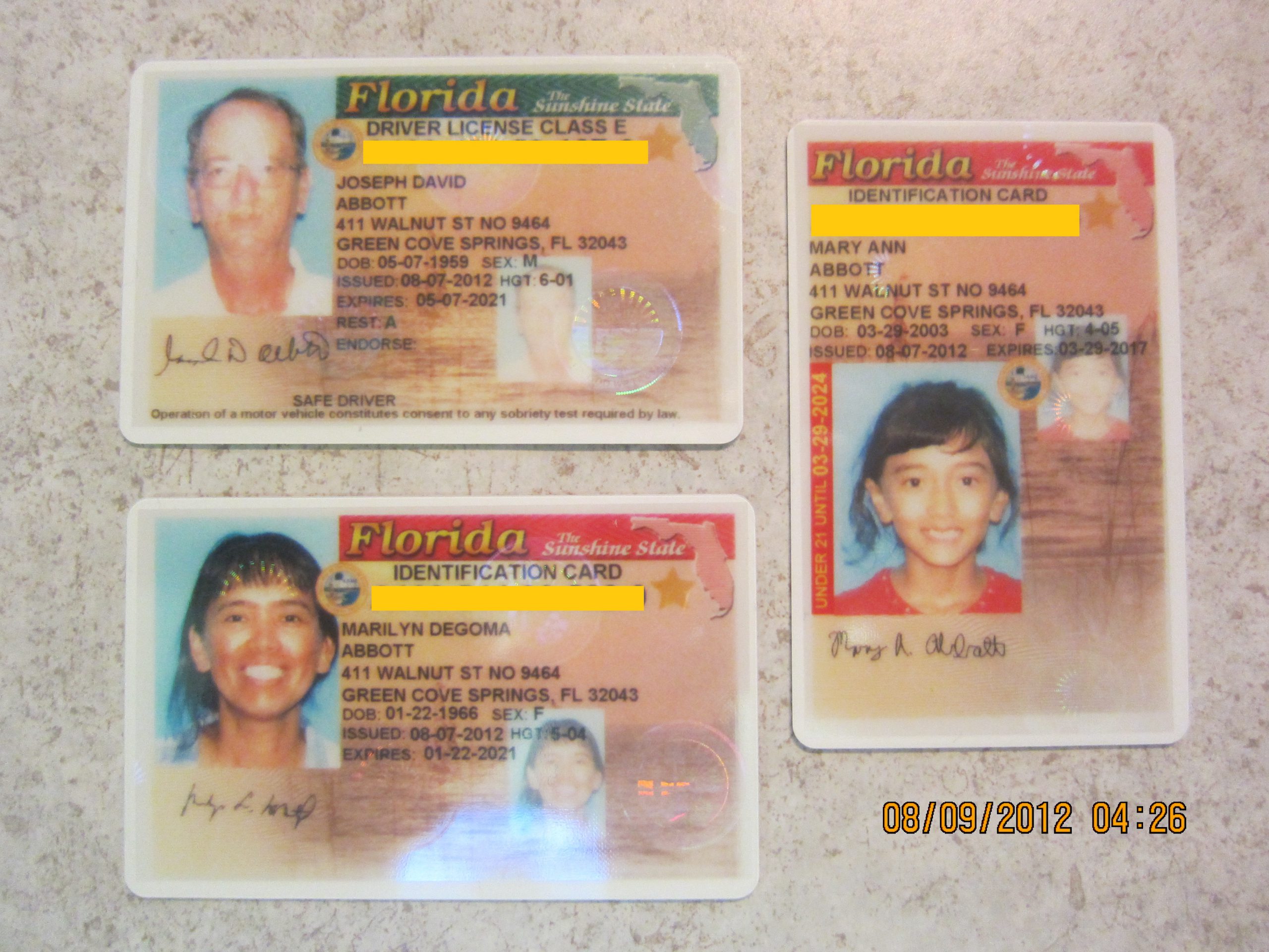 New Florida Driver License And ID Cards | Dove Free Spirit