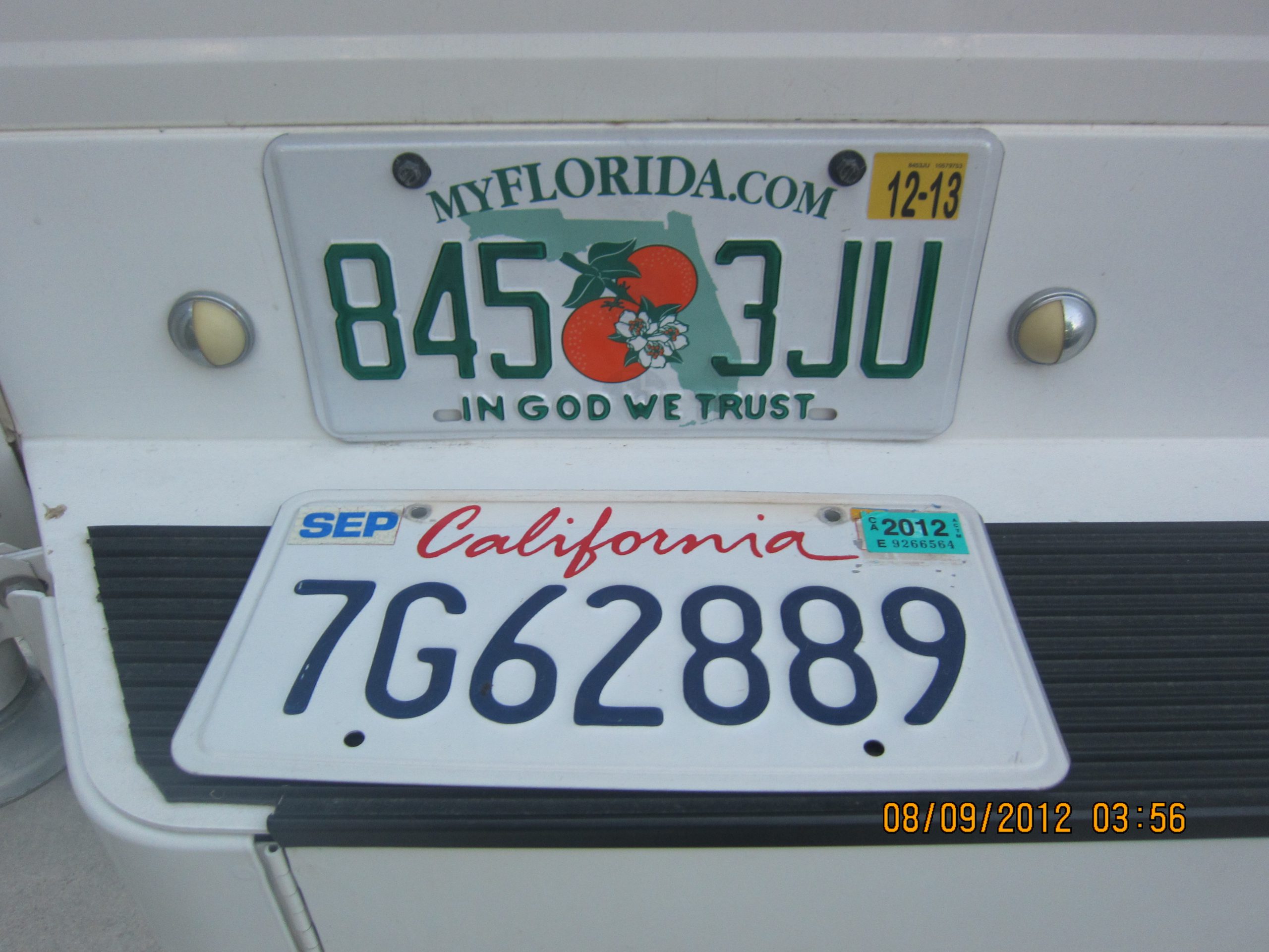 New Florida License Plates Dove Free Spirit
