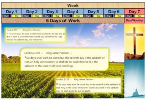 Week and 7th Day